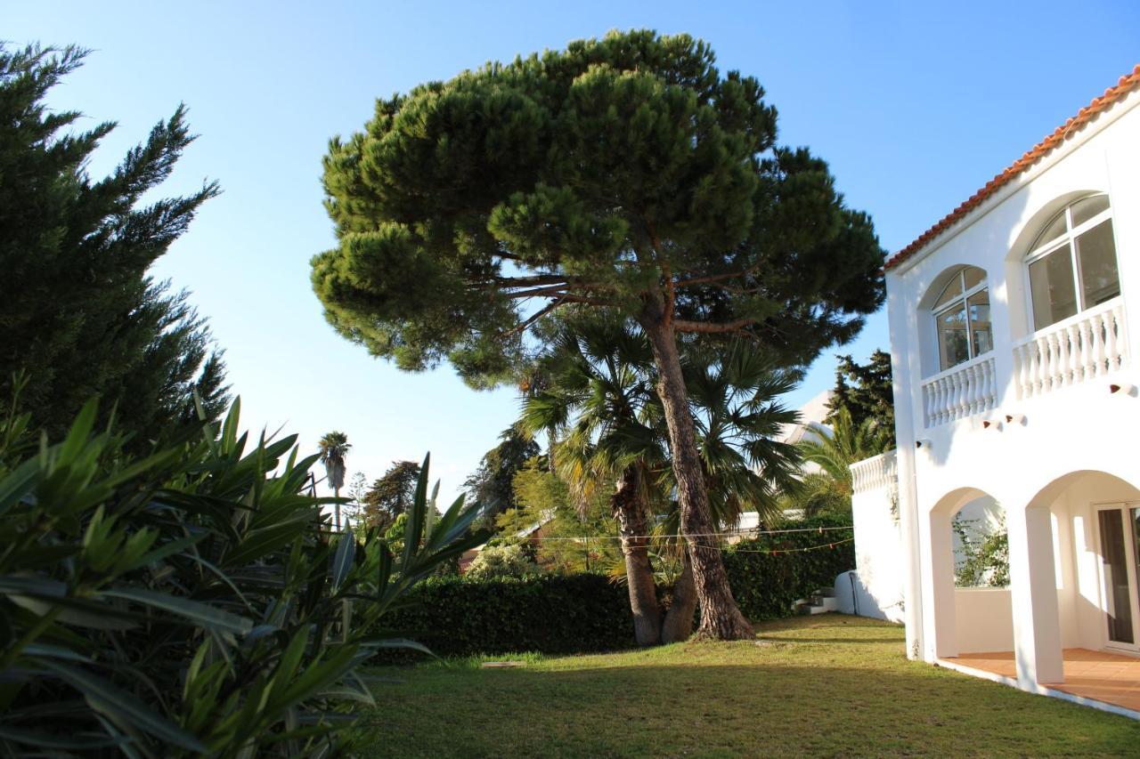 Casa Carioca Carvoeiro Panzió Carvoeiro  Kültér fotó